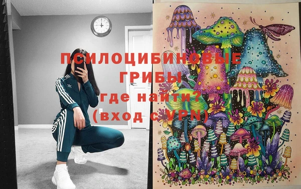 PSILOCYBIN Абинск