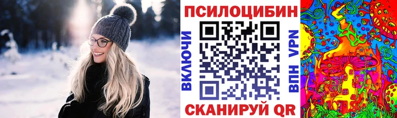 мега ТОР  Щучье  Псилоцибиновые грибы MAGIC MUSHROOMS 