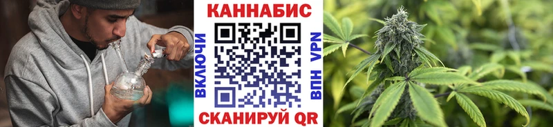 Каннабис OG Kush Щучье